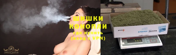 СК Инта